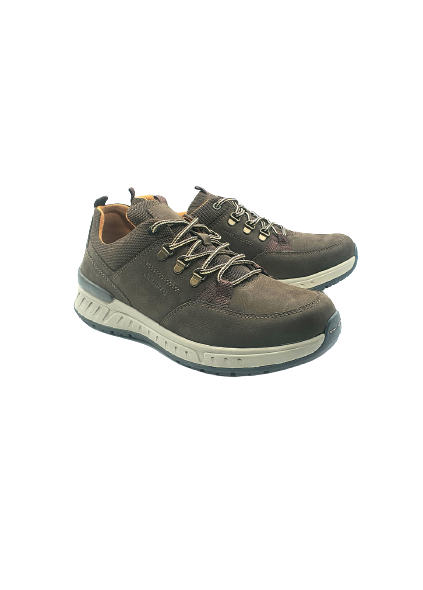 Dubarry 5842-88 Stamford Donkey Brown Lace Shoes