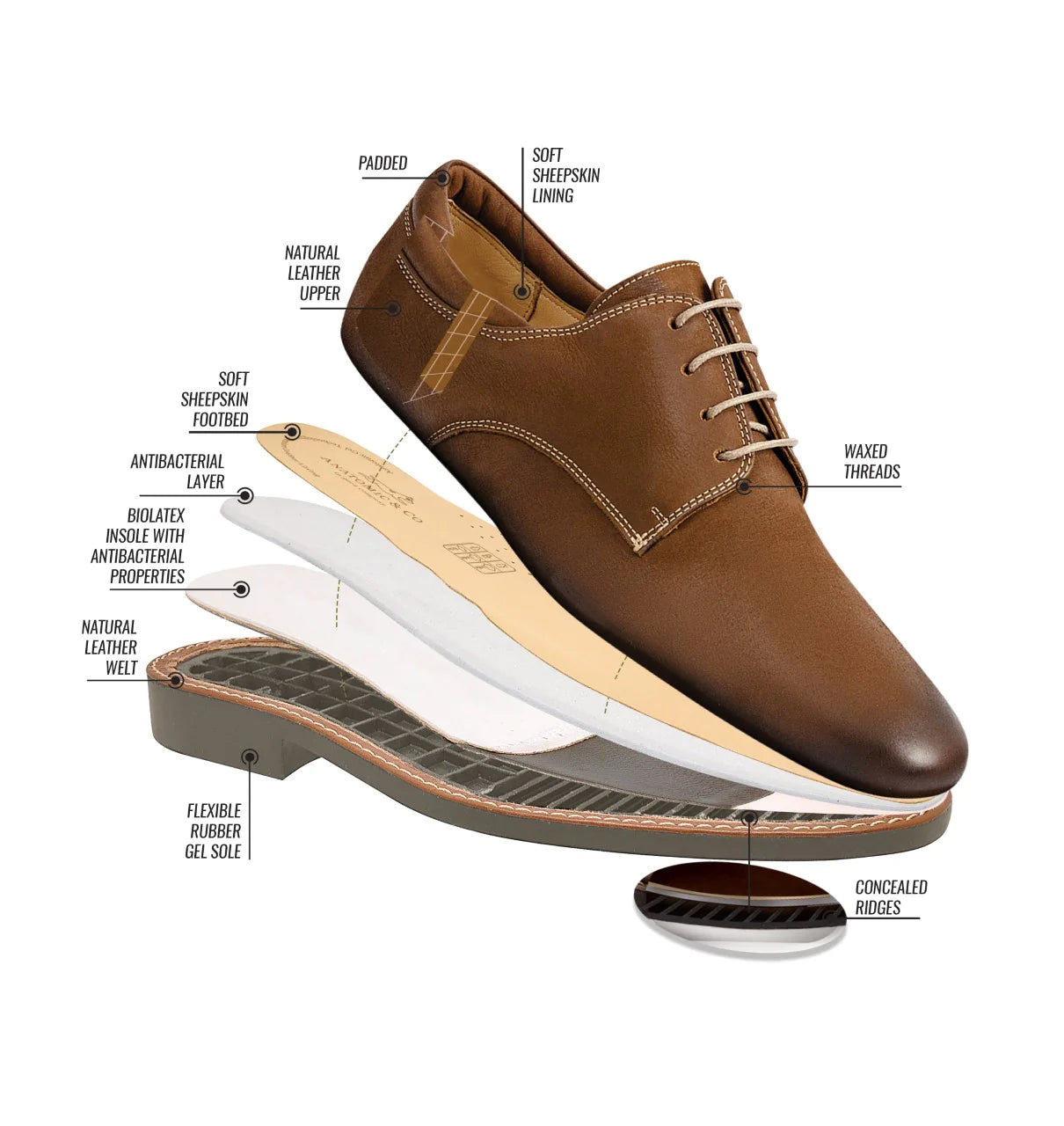 Anatomic & Co 909001 Europa Olive Bull Skin Lace Up Shoes