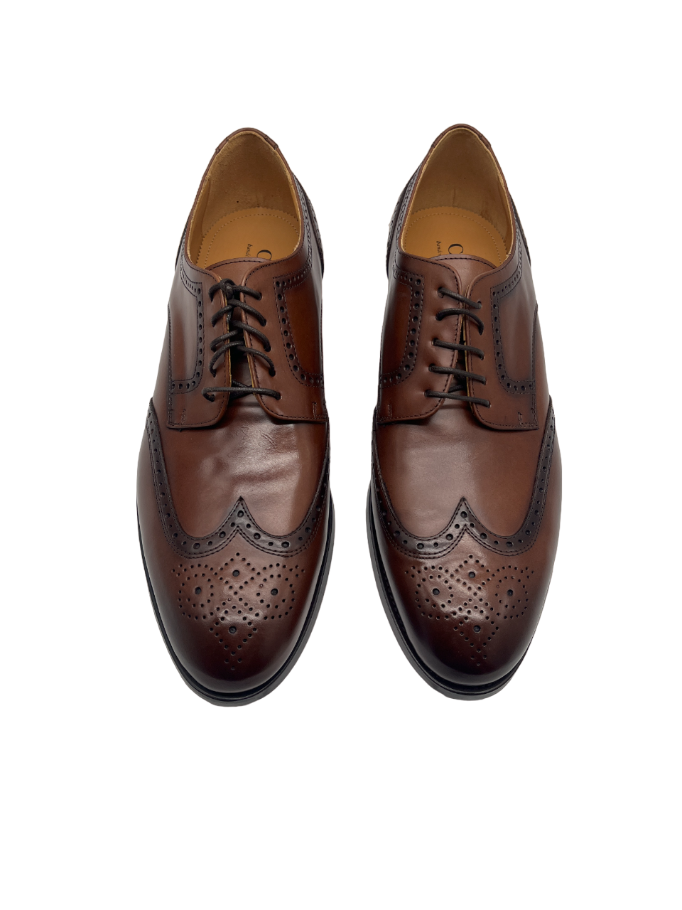 Calce X1230 Honey Alex Lace Shoes