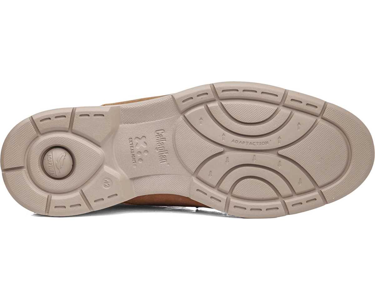 Callaghan 46700 Tan Suede Lace Shoes