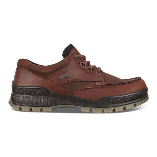 Ecco 831714 52600 Track 25 Bison/Bison Pull Up/Oil Nubuck Goretex Shoes