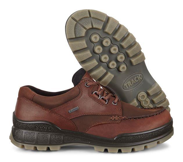 Ecco 831714 52600 Track 25 Bison/Bison Pull Up/Oil Nubuck Goretex Shoes