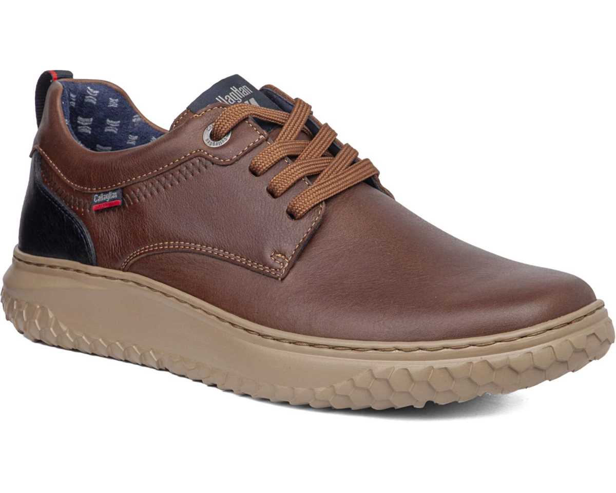 Callaghan 60800 Jacinto Brown Lace Shoes
