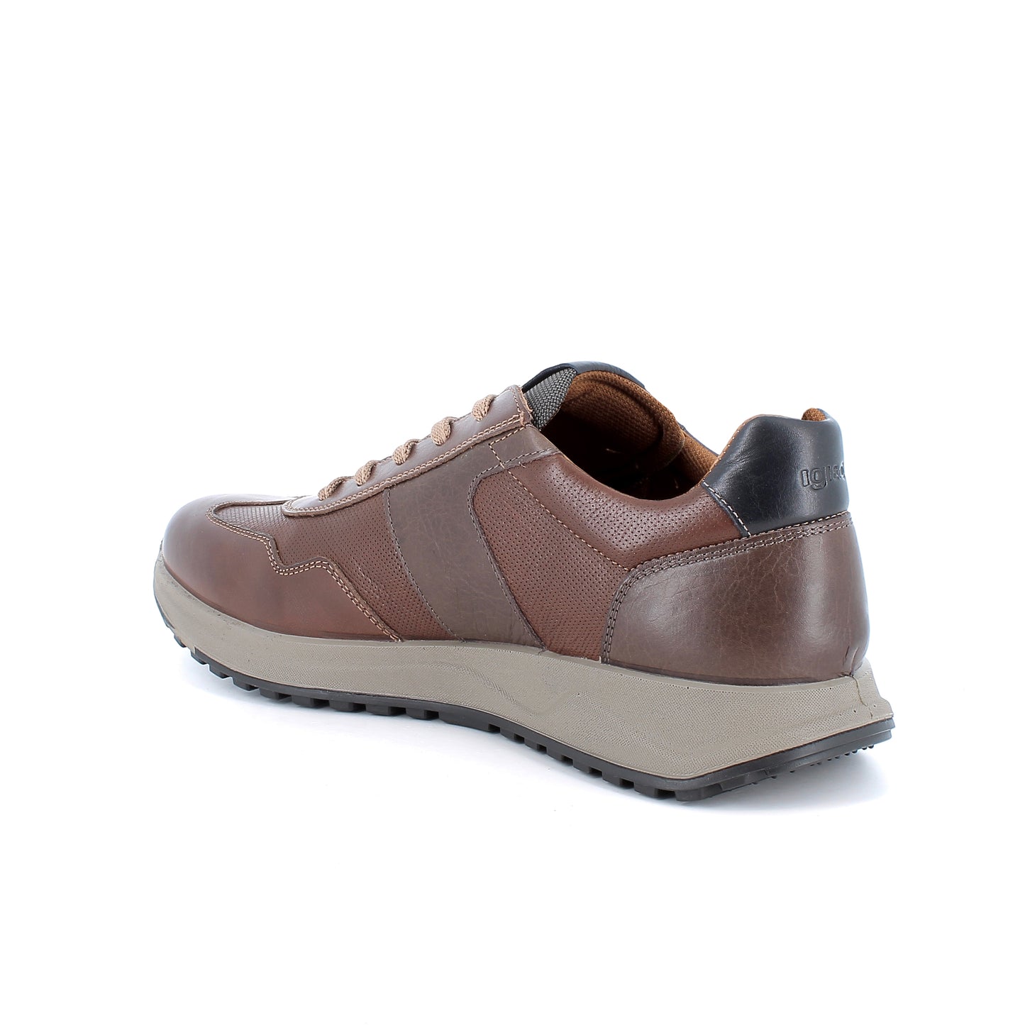 Igi & Co 8639122 Vitello Rag/Cuoio Lace Trainers