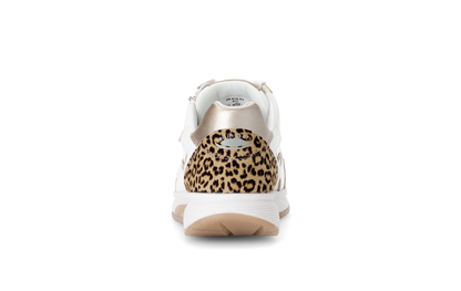 Gabor Rollingsoft 66.878.53 White & Gold Sneakers with Zip & Lace with Leopard/Cheetah Heel