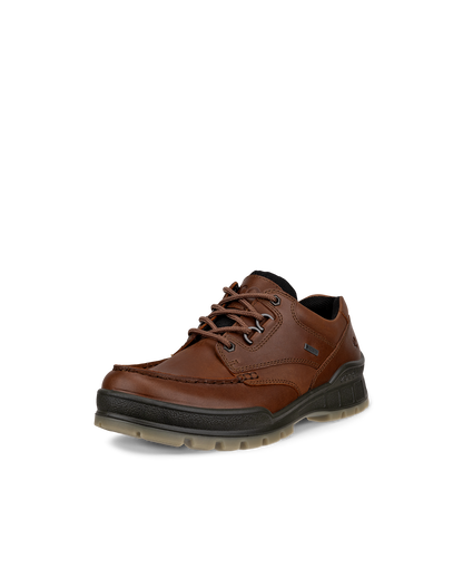 Ecco 831714 53010 Track 25 Bison Brown Gore-Tex Lace Shoes
