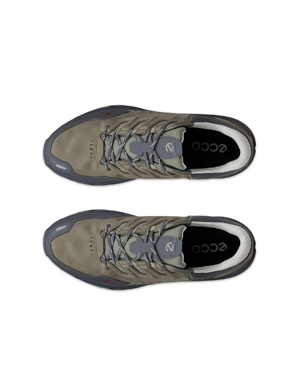 Ecco 854314 61843 Receptor XP Magnet/Smokey Olive