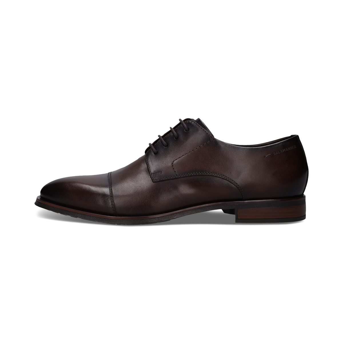 Salamander E11AXY011100 6000 Brown Lace Shoes