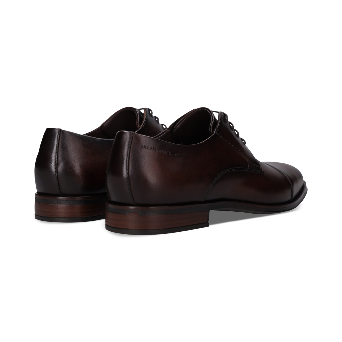 Salamander E11AXY011100 6000 Brown Lace Shoes