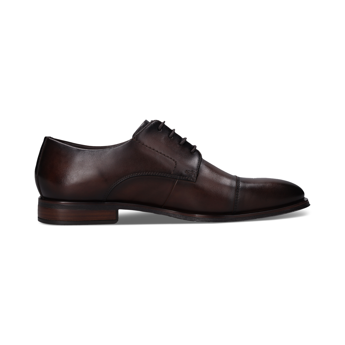 Salamander E11AXY011100 6000 Brown Lace Shoes