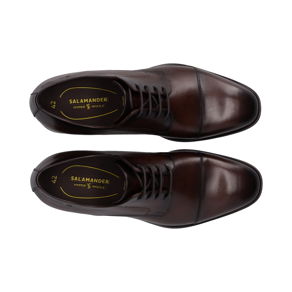 Salamander E11AXY011100 6000 Brown Lace Shoes