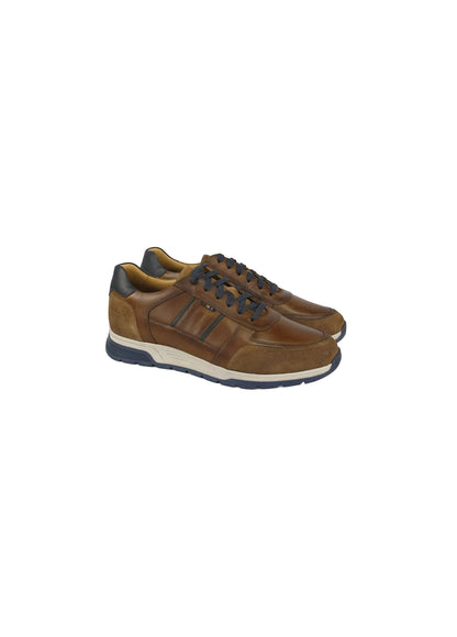 Dubarry 5813-07 Sarris Tan & Navy Lace Shoes