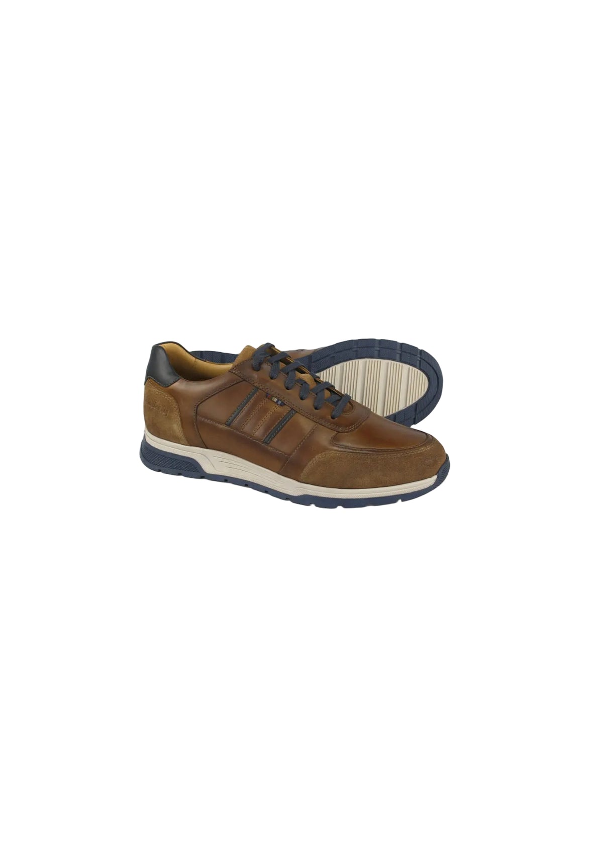 Dubarry 5813-07 Sarris Tan & Navy Lace Shoes