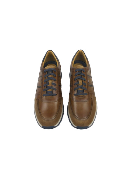 Dubarry 5813-07 Sarris Tan & Navy Lace Shoes