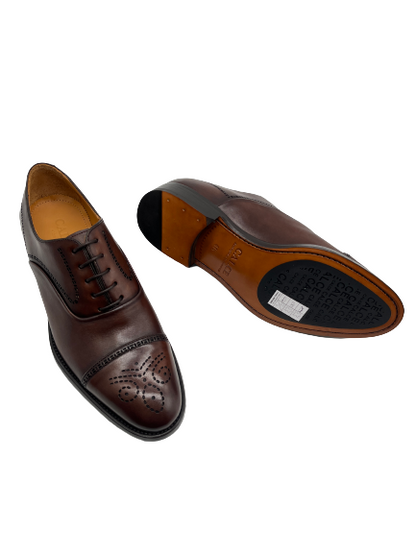 Calce X1552 Brown Lace Formal Shoes